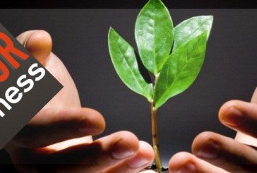 5 Ways to Grow Your Business Without Adding More Resources