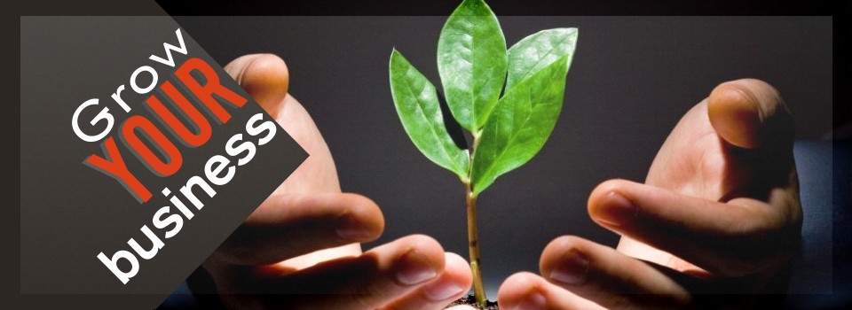 5 Ways to Grow Your Business Without Adding More Resources