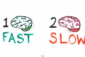 Brain Tricks – This Is How Your Brain Works