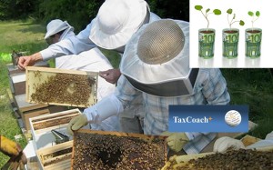 Επιχορήγηση άνω του 1 εκατ. ευρώ για μελισσοκομικούς και αγροτικούς φορείς