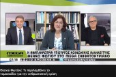 Θεανώ Φωτίου: Τι θα ισχύσει για ρεύμα, επιδότηση ενοικίου, επισιτιστική κάρτα