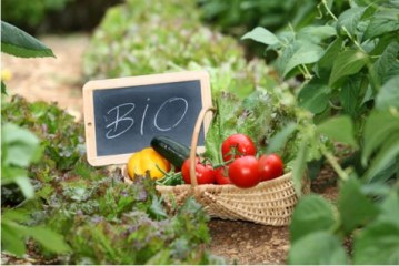 ΥΠΑΑΤ: Επιπλέον χρηματοδότηση 80 εκατ. ευρώ για τη Βιολογική Γεωργία