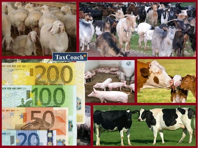 Πληρώνονται 29 εκατ. ευρώ σε 7.000 δικαιούχους του προγράμματος Βιολογικής Κτηνοτροφίας