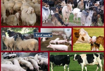 Άμεσα μέτρα στήριξης της κτηνοτροφίας ανακοίνωσε ο υπουργός Αγροτικής Ανάπτυξης Σταύρος Αραχωβίτης