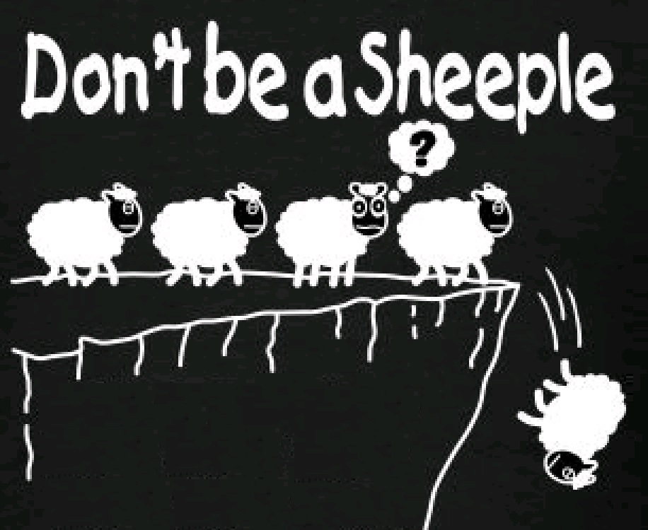 Investing: Do you act as Sheeple or like intelligent People?