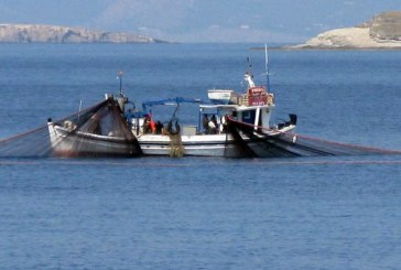 ΥΠΑΑΤ: Πρόσθετα διαχειριστικά Μέτρα για την αλιεία της Βιντζότρατας