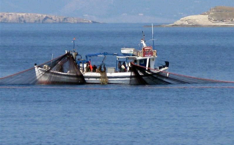 ΥΠΑΑΤ: Πρόσθετα διαχειριστικά Μέτρα για την αλιεία της Βιντζότρατας