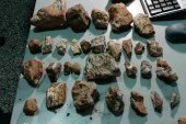 Εντοπισμός και κατάσχεση απολιθωμάτων από το Τελωνείο Μυτιλήνης