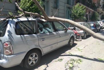 Έπεσε δέντρο στο αυτοκίνητό σας… Μπορείτε να κινηθείτε κατά του Δήμου;