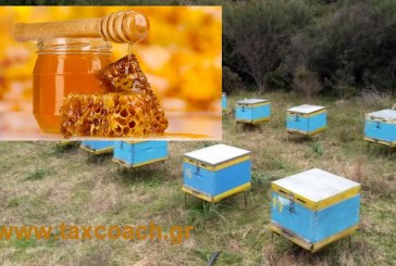 Φ. Αραμπατζή: Δέσμη οικονομικών & θεσμικών μέτρων για τη στήριξη και ανάπτυξη της μελισσοκομίας